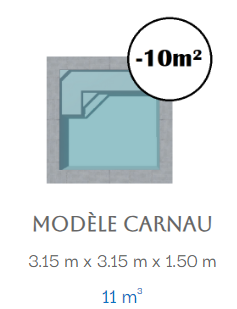 Mini pisicne coque pas chère modèle : carnau 